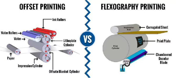 Flexo Printing vs Offset Printing: 8 Key Differences